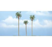 Royal Palm Trees (Set of 3) (Importación USA)