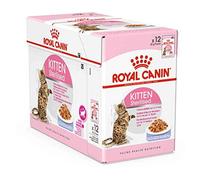 Royal Canin Kitten Sterilised - Alimento en gelatina para gatitos esterilizados - Cantidad: 85 g