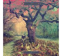 Royal thunder - Crooked doors