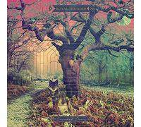 Royal Thunder - Crooked Doors [Vinilo]