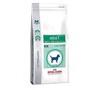 RoyalCanin Adult Small Dog 8 kg Especial Razas Minis y Pequeñas | Pienso Gastrointestinal para Perros Adultos con Problemas Digestivos y Bucales | Comida Intestinal Seca Que Elimina el Sarro Dental