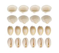 ROYJJ 1 juego de cuentas de concha natural con agujero, conchas de playa, suministros de manualidades para hacer joyas y decoración de manualidades