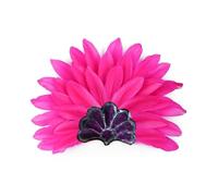 ROYJJ Diademas con plumas para la cabeza de Mardi Gras, baile de graduación, para fiestas, carnavales, celebraciones, tocados para peinar el cabello, locura, festival