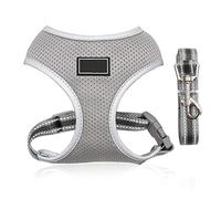 ROYJJ Juego de correa de arnés para perro, sin estrangulamiento, chaleco de malla, a prueba de escapes, para perros pequeños, reflectante, transpirable, correa para el pecho