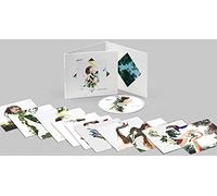 Rozalén - El Arbol y El Bosque