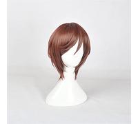 Rozen Maiden Souseiseki Cosplay Pelucas Pelo Sintético Marrón Fibra Resistente Al Calor Pelo Rozenmaiden Peruca Anime Peluca Kuws2996