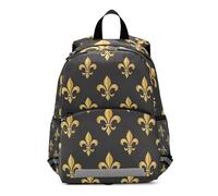 RPLIFE - Mochila infantil con correa, mochilas preescolares doradas Fleur De Lis para niños pequeños de 3 a 6 años, talla M