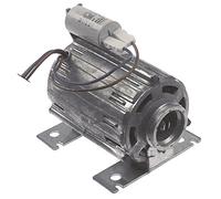 RPM C013726 - Motor de bomba para cafeteras Astoria-Cma Gloria-AEP, Gloria-DISPLAY-LCL, CK-CKE, Reneka Viva-S, LC, Viva, Tempo,