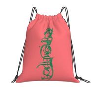 RQLNBOBZ Mochila con el logotipo de Lady Gaga Chromatica (cromo verde sobre rosa) multifunción con cordón para guardar libros y para la escuela.