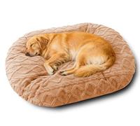 Rr tianshi Cojín ovalado para perros, cama lavable extra grande para mascotas, cómoda cama calmante para perros con funda de felpa extraíble, almohada de colchón cálida para gatos y perros