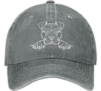RRCRUHG Gorra de béisbol clásica Accesorios de Moda Pitbull Amante del Perro Que espia Casual Transpirable Vaquero Deportivo Ajustable Deportes de Carrera Golf Ajuste Algodón Gorro