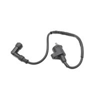 RRKBDQEL Bobina de Encendido de Motocicleta para Goes G125 L para G125 M para G125 RT para Retro para Clásico para Retro/Bobina Encendido 3051A-KHC4-900/3051A-LEJ2-E10/3051A-LBD4-900