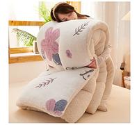 RRNAR Edredón Algodón Invierno - Nórdico Cálido Núcleo, Terciopelo De Cordero De Grueso Cálido Edredón De Invierno, Núcleo De Cachemira, Edredón Invierno,C,200x230cm（4kg）