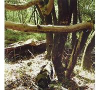 rRope - We Are You There [Vinilo]