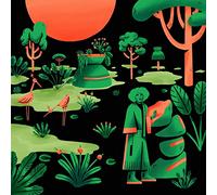 rRoxymore - Face to Phase [Vinilo]