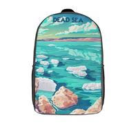 RRTYVFD Mochila escolar para niños con estampado en 3D, diseño Pastor de Shetland, ideal para viajes y lecturas, para niños y estudiantes de primaria., Serene Dead Sea, 17"