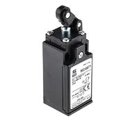 RS PRO Interruptor de límite, palanca de rodillos, DPST, cierre/abridor, IP 65, termoplástico reforzado con fibra de vidrio, cable de conexión de 10 A