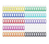 Rseuphiee 100 piezas Llaveros, Llaveros Plastico con Etiqueta, Etiquetas Llaves de 10 Colores, Llaveros Con Anillo Llavero, para Marcar Varios Objetos Como Llaves, Maletas, Animales Domésticos