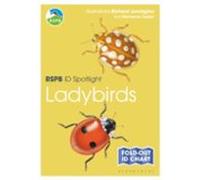 Rspb Id Spotlight - Ladybirds
