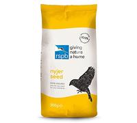 RSPB Nyjer Seed Wild Bird Food 900 Gramos, Ideal para Usar en un comedero de pájaros Nyjer Colgante, Semillas de Níger, Apoyo a la RSPB, Puede atraer jilgueros, jilgueros y siskins