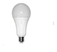 rsr LED estandar 24W 270º Blanco calido 3000K E27 2400lm 220V-240v Alta calidad