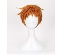 RTGFS The Seven Deadly Sins Cosplay Wig Grizzly39S Sin Of Sloth King Wig Cosplay Halloween Party Concert Wig