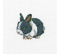 RTO Süßer Hase Kit de Punto de Cruz, algodón, Multicolor, 9x9 cm
