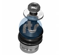 RTS Codo De Suspensión Para Audi A4 Avant 8W5 B9 8WD A5 Sportback