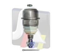 RTS EJE DELANTERO, AMBOS LADOS, ARRIBA