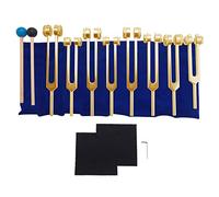 Rtxbvg DiapasóN, 7 Chakras + 1 DiapasóN Ponderado PropóSito del Alma, Instrumento de AleacióN de Aluminio 126,22-141,27 Hz, Etc., Dorado