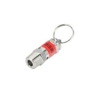 RUAJOGYNVM 1/8" BSPT Male Thread 304 Stainless Steel Pressure Valve Spring Type Exhaust Valve 7 Bar 0.7mpa