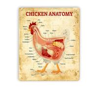 RUAJOGYNVM Educational Farm Decor Metal Tin Sign Chicken Anatomy Vintage Diagram Plaque Wall-Art for Coop Kitchen Classroom 8 X 12 in