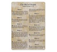 RUAJOGYNVM History Teacher Gift Metal Sign American Founding Documents Educational Wall-Art for Classroom Study Office Decor 8 X 12 inch
