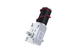RUAJOGYNVM Worm Gear Reduction DC Electronic Starter 5840-31zy Double Short Output Shaft with Self-Locking Full Metal Gear 16RPM_24V