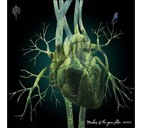 Rubashov Martin - Members Of The Green Phlox (LP) [Vinilo]