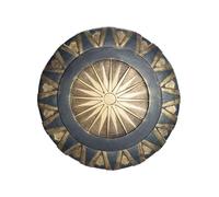 Rubies Disfraz de Wonder Woman Movie Shield, Accesorio de Disfraz (tamaño Infantil)