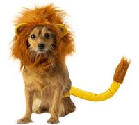 Rubie'S Disney: Juego de Accesorios de Disfraz de Rey León para Mascotas, Simba, Mediano/Grande