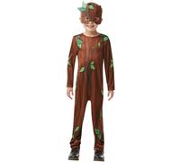 Rubie's Official Twig Boy, Child Costume, Book Day Character TWIG BOY S