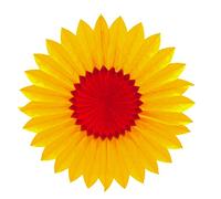 Rubies 's - Disfraz unisex-child, multicolor, talla única, it50262