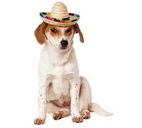 Rubie's - Sombrero para Mascotas con Ribete Multicolor, pequeño/Mediano