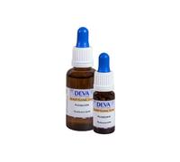 Rudbeckia - Gotero 10 ml de elixir floral