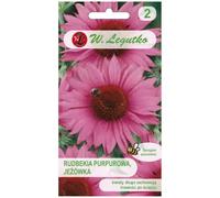 Rudbeckia purpura, Echinacea - rosa