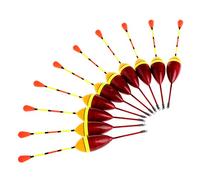 Rudiaoa Juego de 10 flotadores de pesca de carpa, boya para aparejos de peces verticales, 2# 4,5 g, luces