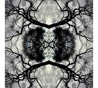 Adam Rudolph – Sonic Mandala Go: Organic Orchestra – Vinilo