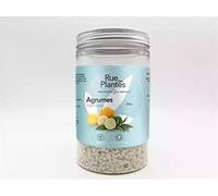 RUE DES PLANTES - Aspi'olor cítrico 200g - ambientador para aspiradora