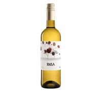 Rueda Basa 2024