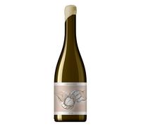 Rueda Carrasviñas Félix 2021