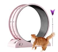Rueda de correr para gatos, caminadora de pérdida de peso para gatitos | Ejercitadora de ruedas de gato grande para interiores, caminadora de seguridad para gatitos con teaser