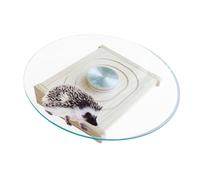 Rueda de ejercicio para animales pequeños | Rueda deportiva silenciosa para hámsteres - Jaula juguetes casas y hábitats platillo con rodamientos de metal, correr - Spinner para jerbo