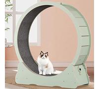 Rueda de ejercicio para gatos para animales pequeños, dispositivo de pérdida de peso para interiores, juguete para mascotas